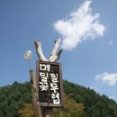 시골손맛 봉평메밀 이미지