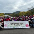 힐링숲협동조합 이미지