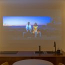 제주애단비 마주 이미지