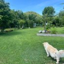 삼형제농장 이미지