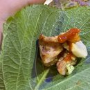 부산수영추천맛집 유정양곱창 이미지