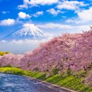 용천목장 이미지