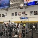 아놀드짐 | 미국 캘리포니아 골드 짐 베니스(Gold's Gym) 방문 후기