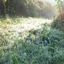 당포의아침 이미지