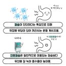 산호약품