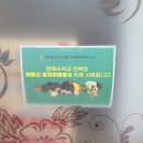 울산중구시니어클럽(보리밭에열무김치) 이미지
