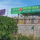 러블리 독스 이미지