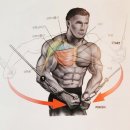 일번피티 이미지