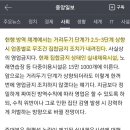 감성 피티 이미지