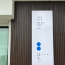 제주도 서귀포 스시오마카세, BTS오마카세로 알려진 :)하찌 런치 후기
