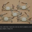 소래포구 큰절 반성 후 근황.jpg 이미지