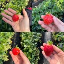 한빛합기도 이미지