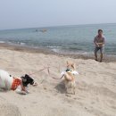 토박이매점회식당 이미지