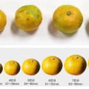 빈이네농장 이미지