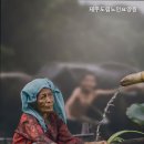 제주도립노인요양원 네이버블로그