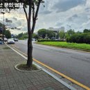 교하월드공인중개사사무소 이미지