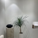 올리본의원 이미지