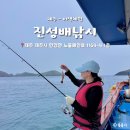 진성플러스 | 제주 이색체험 진성배낚시 차귀도 선상낚시 단독선 내돈내산 후기