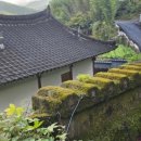 정자나무집 이미지