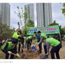 마산합포구, 민·관 합동 도시숲 조성 나무심기 행사실시/ 국제위러브유운동본부(회장 장길자) 이미지