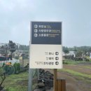 프렌즈큐 | [제주] 🐑새별프렌즈 후기 / 제주도 동물원 / 제주 가볼 만한 곳 / 알파카 먹이주기 체험 / 블랙노즈양🐑