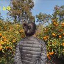 주연농장 이미지