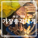 기장대게 | 기장시장 킹크랩 기장총각대게 내돈내산 솔직후기