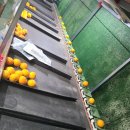 거산농장 이미지