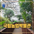 수원박물관 | 국립농업박물관 후기 | 수원 실내아이와가볼만한곳 무료 박물관 추천