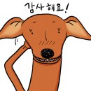 카페바인스