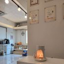 필라펠리스 이미지