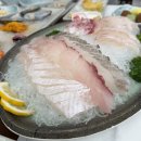 썬바다횟집 | 정동진 썬크루즈 횟집 맛집 어국 솔직평가