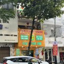 [유가네과일] 다낭 과일 배달, 다도할인까지!!! (두리안,망고,망고스틴 후기)