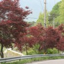 거창-신원-3 이미지