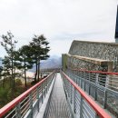 (주)웨이포인트 | 하동 스카이워크, 스타웨이 하동🏞️ 섬진강 뷰 명소 추천 | 구례·하동 2박 3일 여행기✨