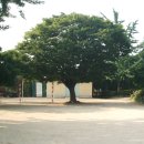 산평초등학교 이미지