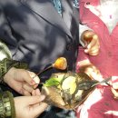 예원숲어린이집 이미지