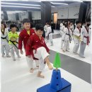 혁신 태권도 이미지