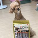 어바웃댕댕 이미지