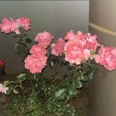 렌즈미 창원상남점 | 안녕하세요 감사해요 잘 있어요 다시 만나요