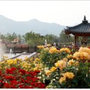 장미공원C 이미지