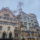 엘까사 | [바르셀로나/가우디 반일투어]까사밀라-까사바트요-구엘공원-사그라다파밀리아-엘그롭