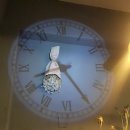 박수연행정사사무소 이미지