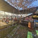 서춘천농협하나로마트 이미지