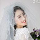 제이스 스타뉴스