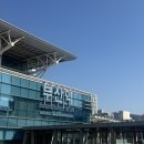 부산에서 대마도 히타카츠 당일치기 여행🇯🇵 | 6월 자전거 코스 추천