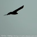 고성리-11 이미지