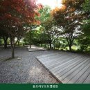 가평캠핌장 융프라우오토캠핑장 시설 깔끔으로 유명한 곳의 이용 비용 안내