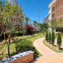 청솔초등학교 이미지