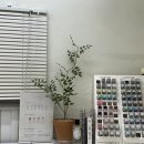 소수네일스튜디오